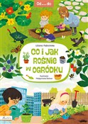 Od...do. C... - Liliana Fabisińska -  foreign books in polish 