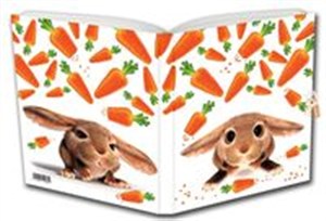 Picture of Pamiętnik Uroczy Króliczek