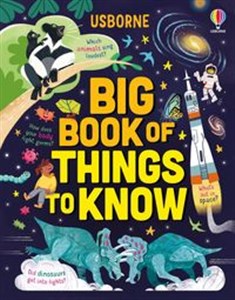 Obrazek Big Book of Things to Know