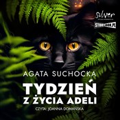 [Audiobook... - Agata Suchocka -  foreign books in polish 