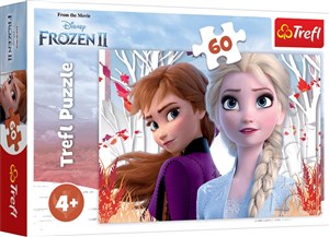 Obrazek Puzzle 60 Frozen 2 Zaczarowany świat Anny i Elsy