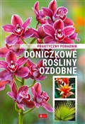 Doniczkowe... -  Polish Bookstore 