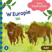 W Europie ... - Ewa Stadtmuller -  Polish Bookstore 