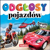 Polska książka : Odgłosy po... - Agnieszka Anna Wiatrowska