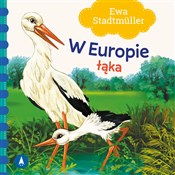 W Europie ... - Ewa Stadtmuller -  foreign books in polish 