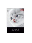 Kołozeszyt... -  Polish Bookstore 