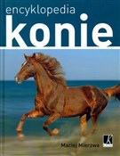 Książka : Konie Ency... - Maciej Mierzwa