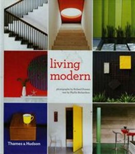 Obrazek Living modern