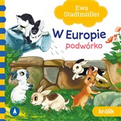 W Europie ... - Ewa Stadtmuller -  Książka z wysyłką do UK