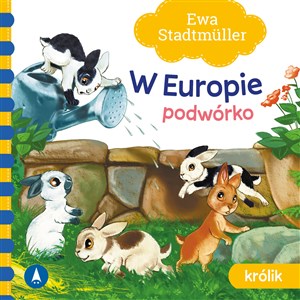 Picture of W Europie Podwórko Królik