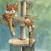 Książka : Karnet AC8...