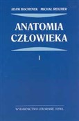 Anatomia c... - Adam Bochenek, Michał Reicher -  foreign books in polish 