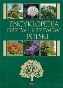 Picture of Encyklopedia drzew i krzewów