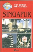 Polska książka : Singapur - Remigiusz Mielcarek
