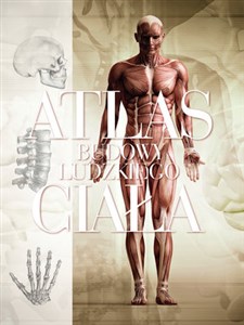 Picture of Atlas budowy ludzkiego ciała