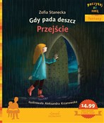 Polska książka : Gdy pada d... - Zofia Stanecka