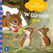 Polska książka : W Europie ... - Ewa Stadtmuller