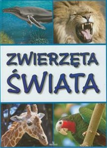 Picture of Zwierzęta świata