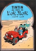 Tintin au ... - Herge -  foreign books in polish 