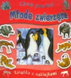Picture of Chcę poznać Młode zwierzęta Książka z naklejkami
