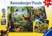 Puzzle Zwi... -  foreign books in polish 