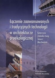 Picture of Łączenie zaawansowanych i tradycyjnych technologii w architekturze proekologicznej