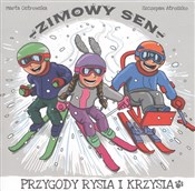 Polska książka : Zimowy sen... - Marta Ostrowska, Szczepan Atroszko