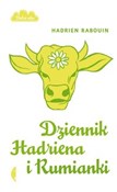 Dziennik H... - Hadrien Rabouin -  books from Poland