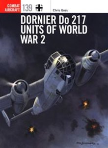 Obrazek Dornier Do 217 Units of World War 2