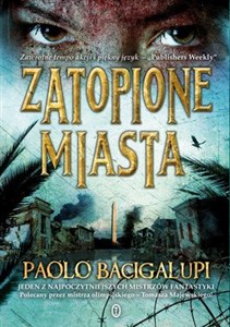 Picture of Zatopione miasta