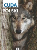 Cuda Polsk... - Opracowanie Zbiorowe -  Polish Bookstore 