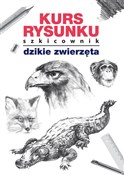 Kurs rysun... - Mateusz Jagielski -  books from Poland