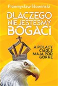 polish book : Dlaczego n... - Przemysław Słowiński
