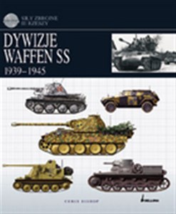 Picture of Dywizje Waffen SS 1939-1945