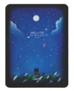 Obrazek Notes A6/128K Noc kot w trawie