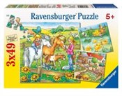 Puzzle Zwi... -  foreign books in polish 