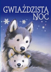 Obrazek Gwiaździsta noc