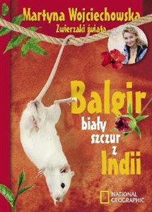 Obrazek Balgir, biały szczur z Indii