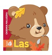 Zobacz : Okienka ma...