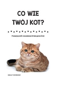 Picture of Co wie Twój kot? Poznaj sposób rozumienia świata przez koty