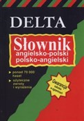 polish book : Słownik an... - Elżbieta Mizera