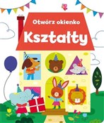 polish book : Kształty o... - Opracowanie Zbiorowe