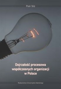 Obrazek Dojrzałość procesowa współczesnych organizacji w Polsce