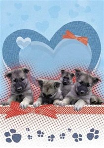 Picture of Zeszyt w linie. Pieski