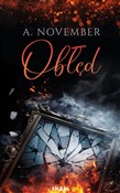 Chaos - K.E. December -  foreign books in polish 