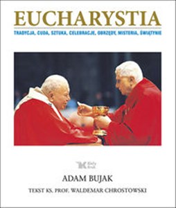 Obrazek Eucharystia Tradycja, cuda, sztuka, celebracje, obrzędy, misteria, świątynie