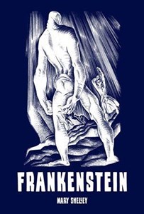 Picture of Frankenstein