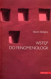 Picture of Wstęp do fenomenologii