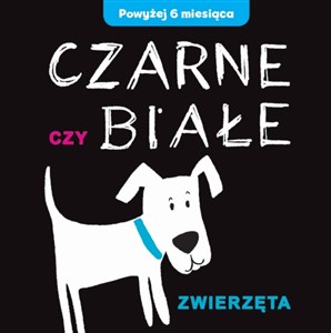 Obrazek Czarne czy Białe Zwierzęta