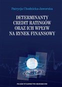 Polska książka : Determinan... - Patrycja Chodnicka-Jaworska
